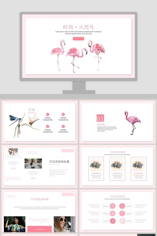 时尚火烈鸟PPT