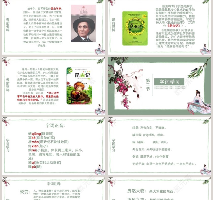 四年级语文课件《蝉》PPT 第2张