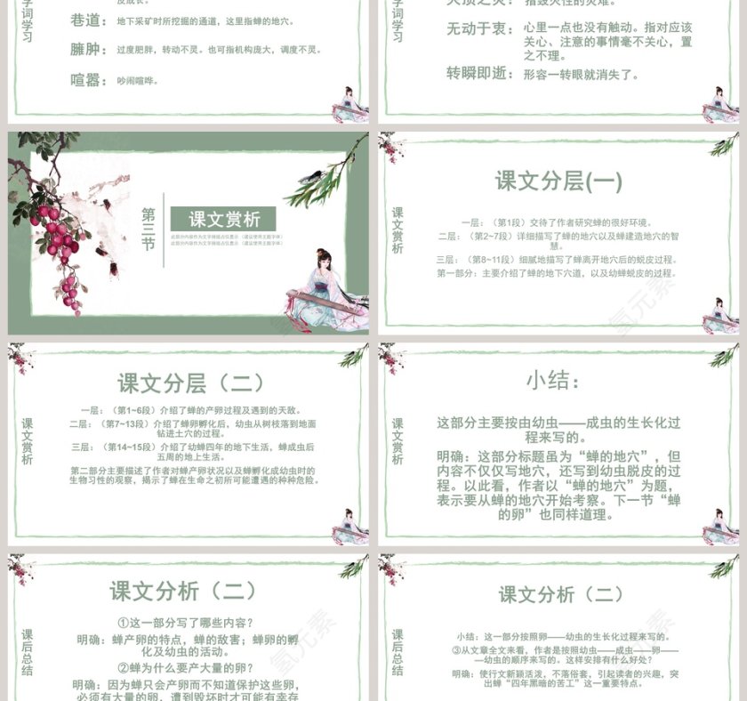 四年级语文课件《蝉》PPT 第3张