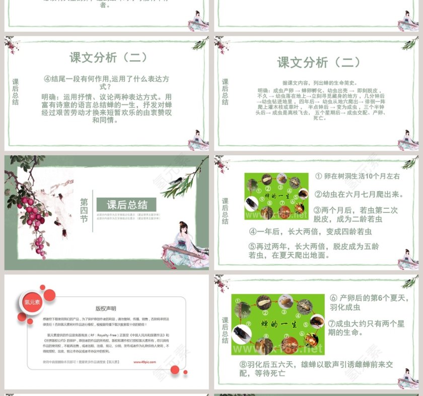 四年级语文课件《蝉》PPT 第4张
