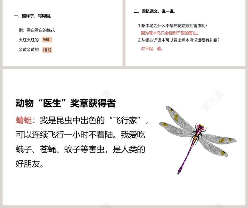 课文解析棉花姑娘语文课件PPT第5张