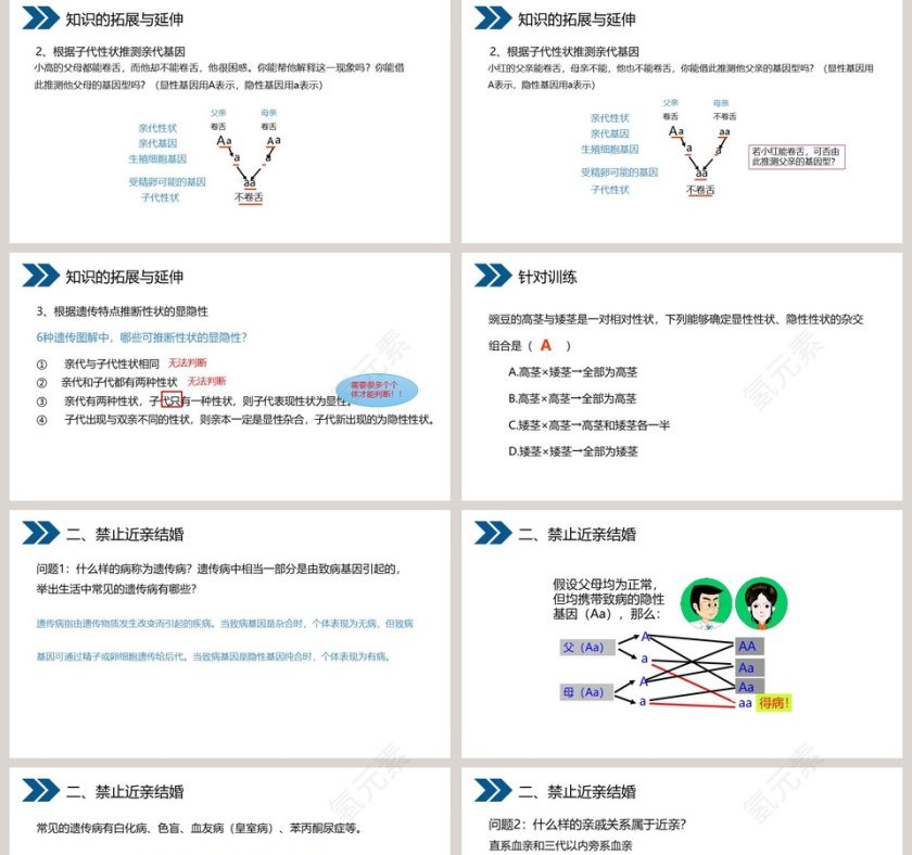 人教版初中生物八年级下册教学ppt课件第5张