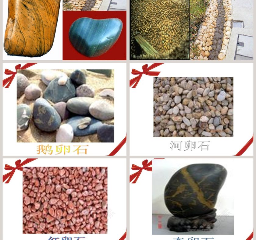 做一块卵石-青岛版小学科学五年级教学ppt课件第5张