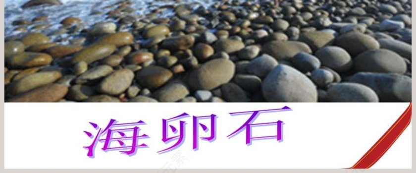 做一块卵石-青岛版小学科学五年级教学ppt课件第8张