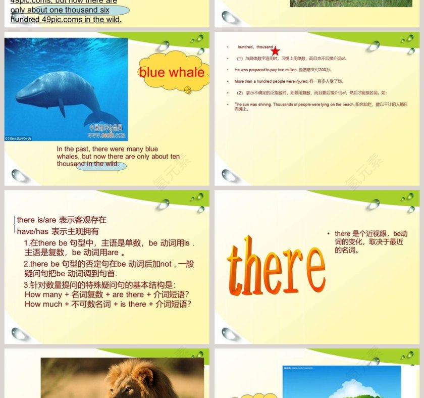 Unit 5-Animals in danger教学ppt课件第2张