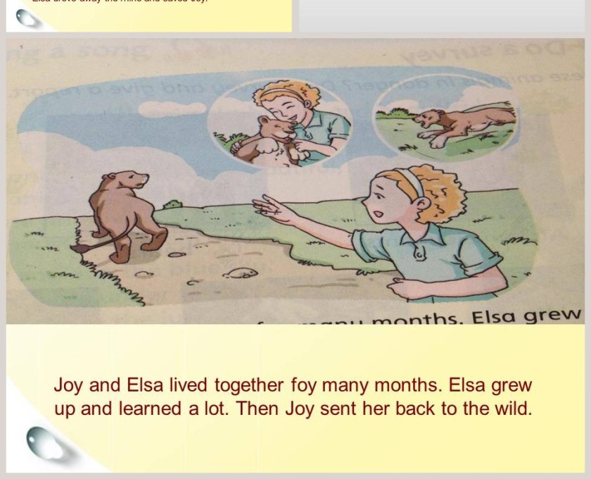 Unit 5-Animals in danger教学ppt课件第4张