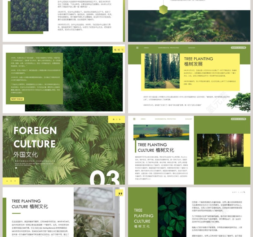 植树节节日ppt第3张