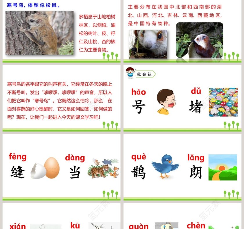 课文解析二年级语文上册寒号鸟语文课件PPT第2张