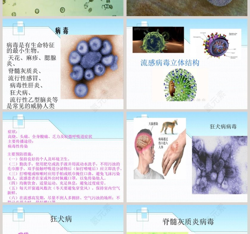 青岛版五年制五年级科学上册课件-病 毒教学ppt课件第2张