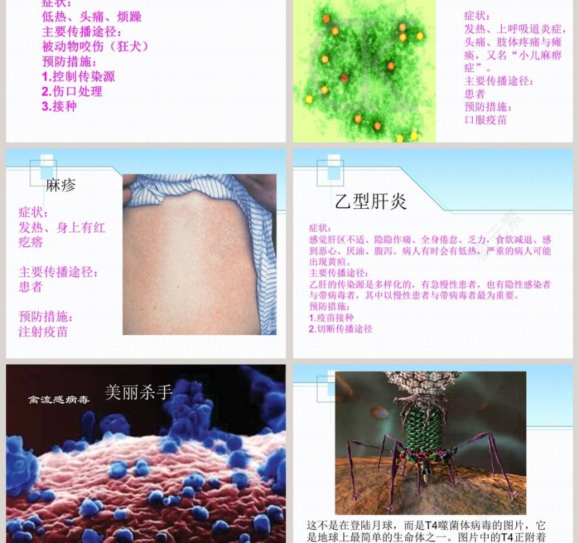 青岛版五年制五年级科学上册课件-病 毒教学ppt课件第3张
