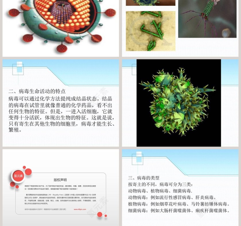 青岛版五年制五年级科学上册课件-病 毒教学ppt课件第5张