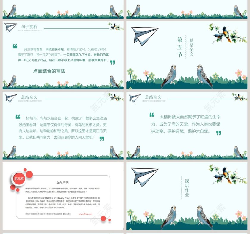 四年级语文PPT课件-鸟的天堂第4张