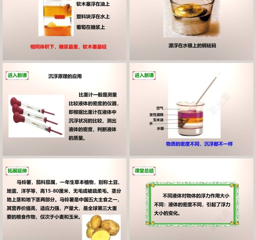 教科版 五年级下册 PPT 模板大全第5张