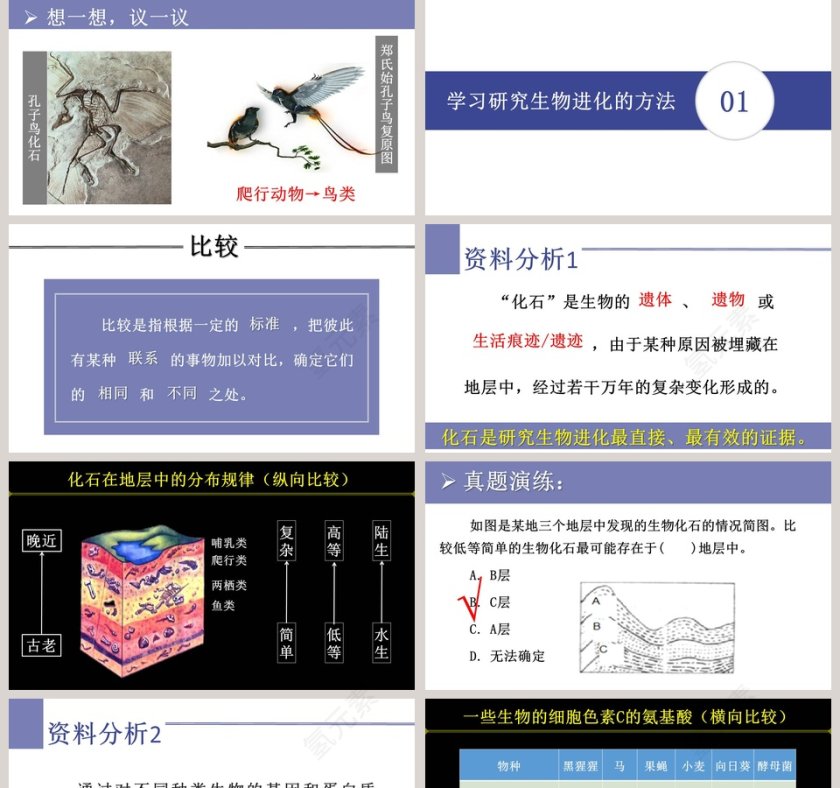 生物进化的历程教学ppt课件第2张