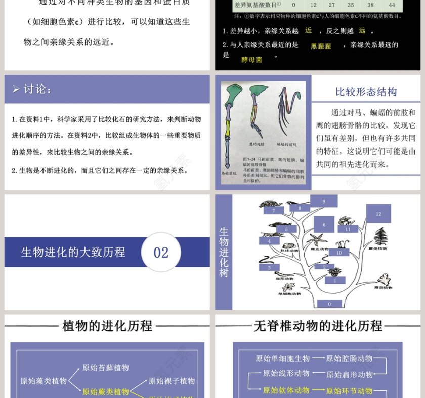生物进化的历程教学ppt课件第3张