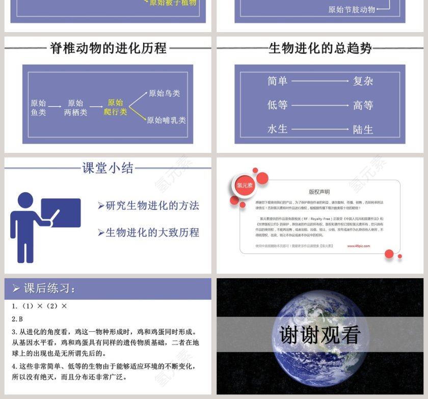 生物进化的历程教学ppt课件第4张