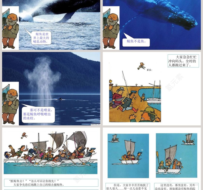 候鸟和鲸鱼幼儿园绘本教育课件第3张