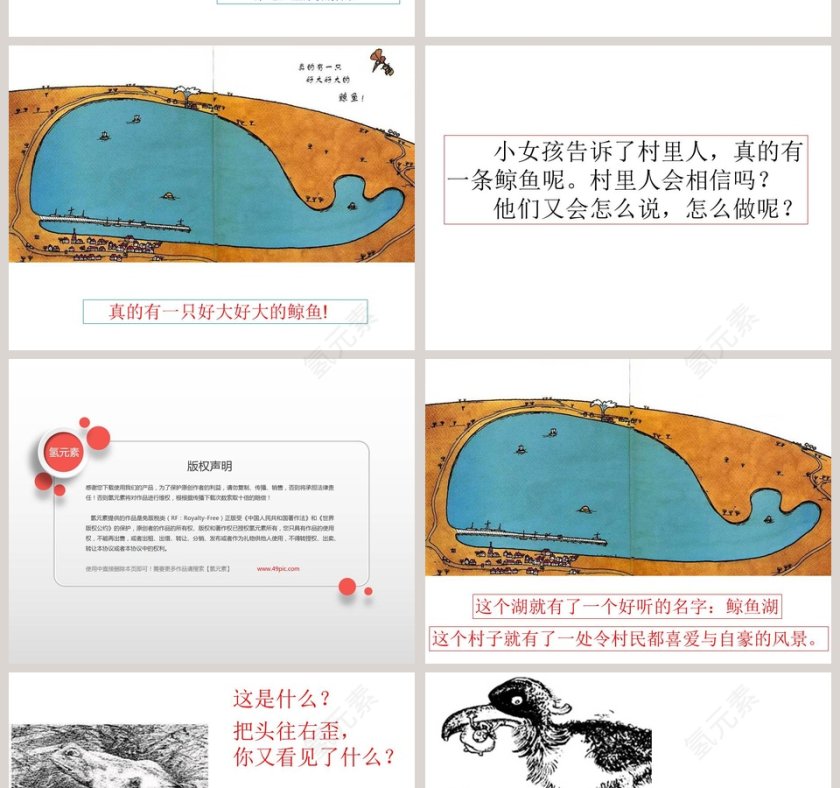 候鸟和鲸鱼幼儿园绘本教育课件第6张