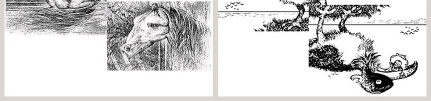 候鸟和鲸鱼幼儿园绘本教育课件第7张