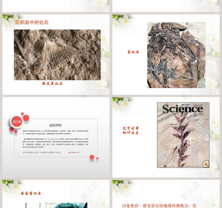 多样的岩石教学ppt课件第4张