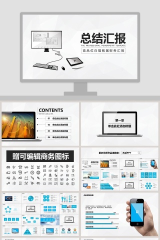 高品位白描数据财务汇报
