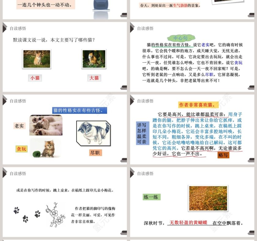 部编版四年级语文下册猫语文课件PPT第4张