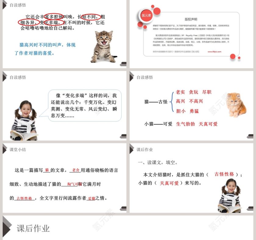 部编版四年级语文下册猫语文课件PPT第5张