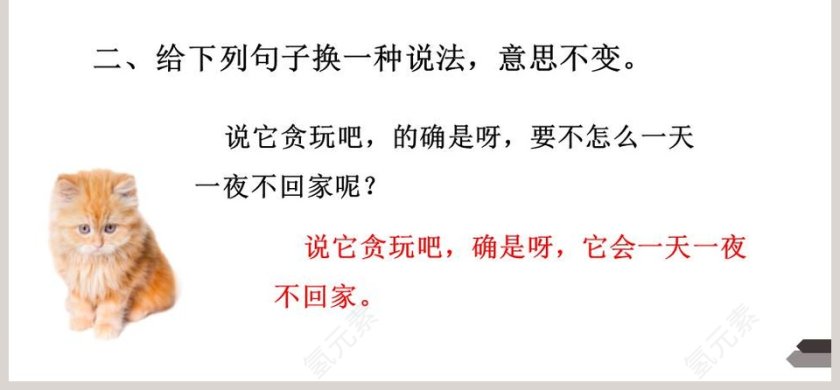 部编版四年级语文下册猫语文课件PPT第6张