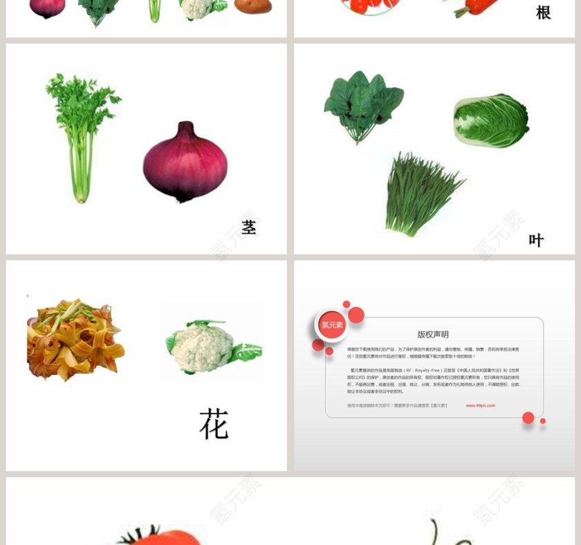幼儿园大班科学《吃植物的哪部分》课件PPT第2张