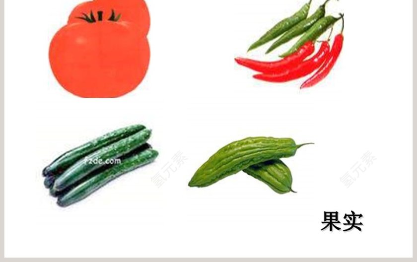 幼儿园大班科学《吃植物的哪部分》课件PPT第3张