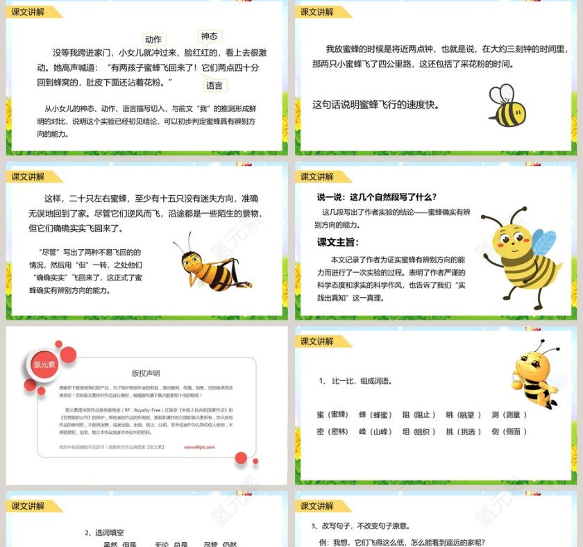 人教版三年级语文下册蜜蜂教学课件PPT模板第5张