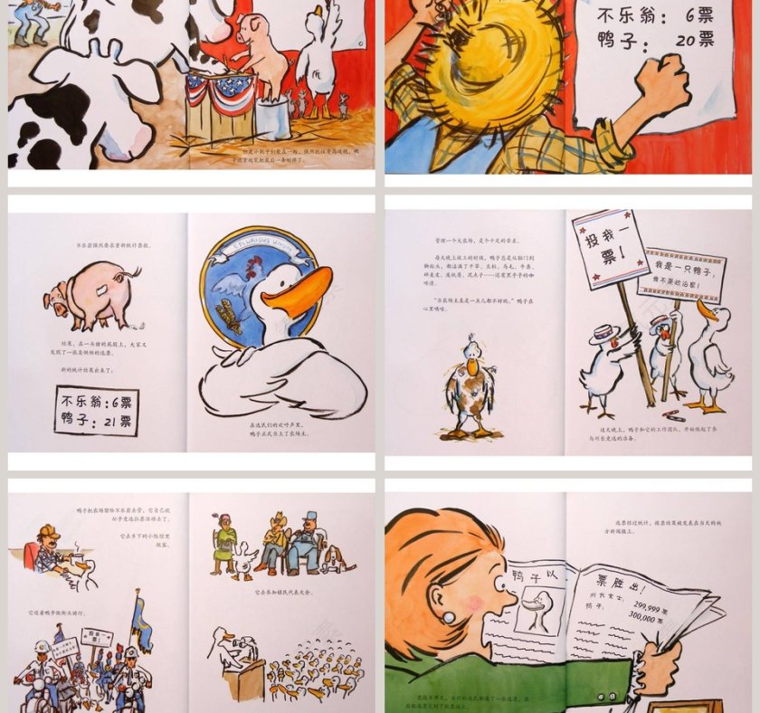 鸭子当总统幼儿绘本教育课件 第3张