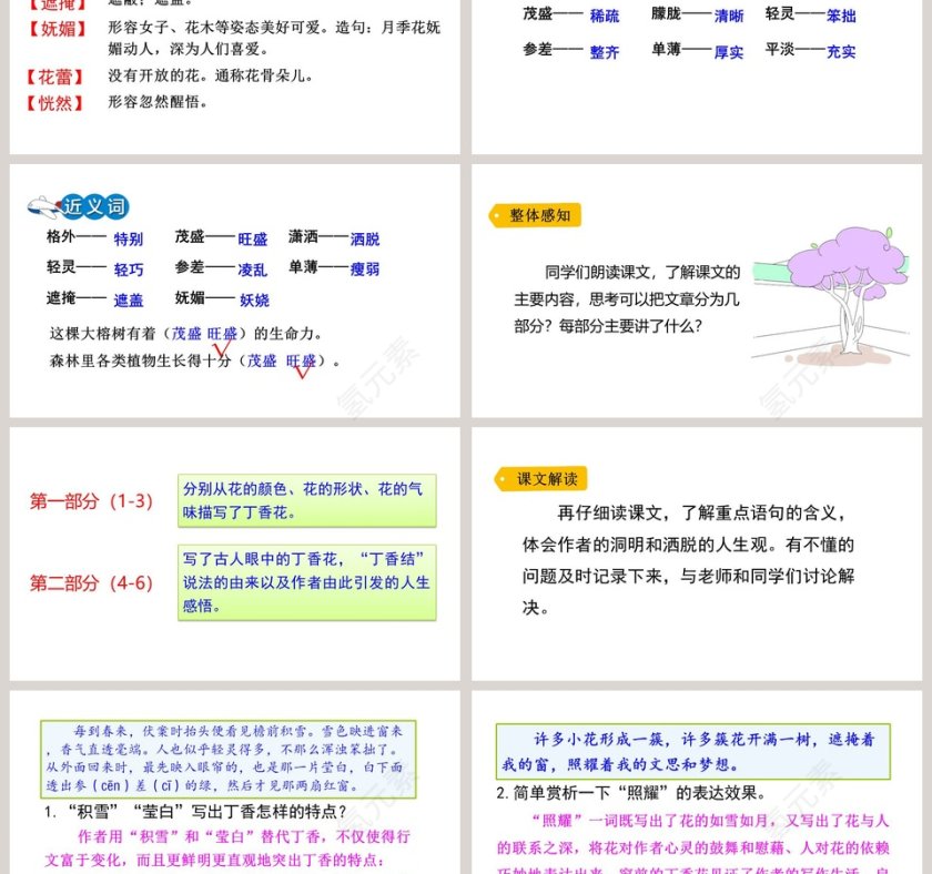 课文解析六年级语文上册丁香结语文课件PPT第3张