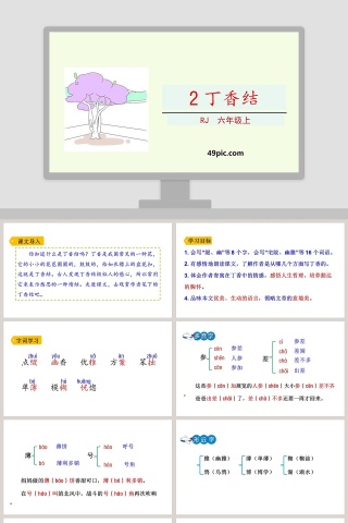 课文解析六年级语文上册丁香结语文课件PPT