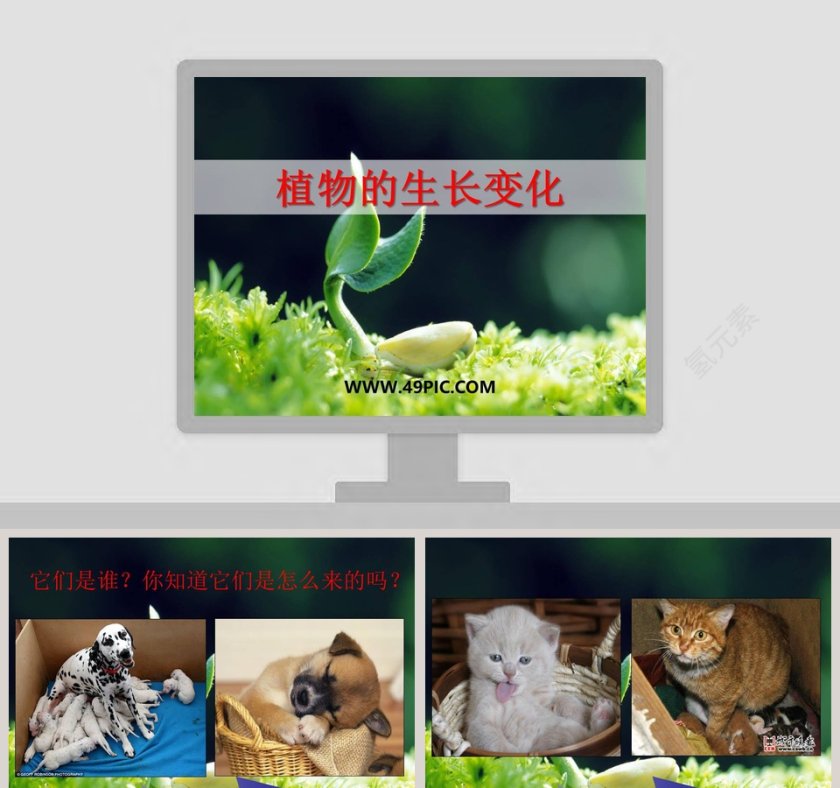植物的生长变化教学ppt课件第1张