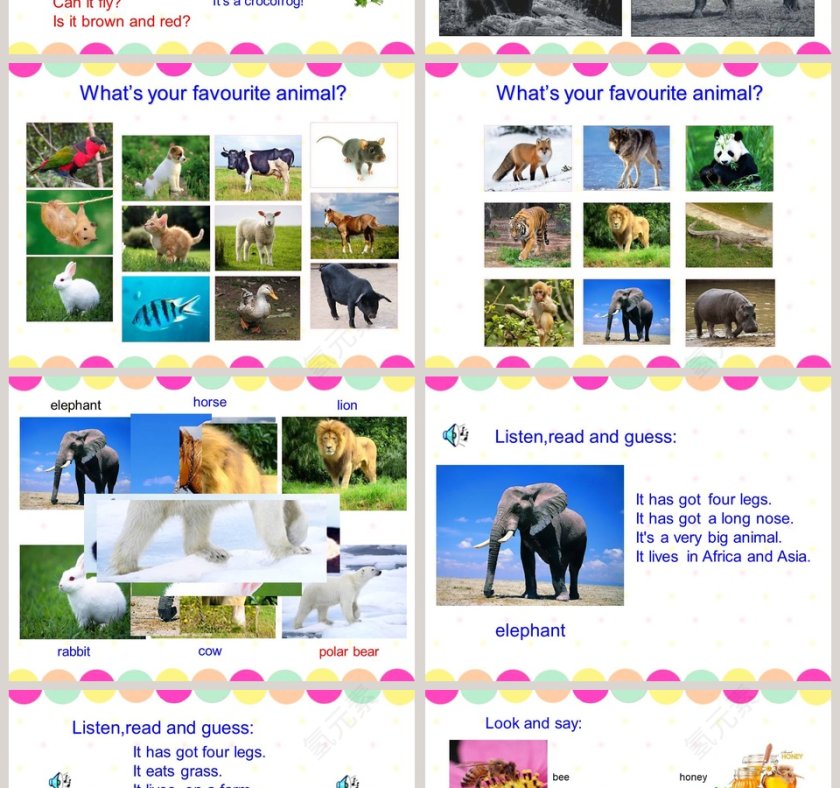 Unit 5  Animals in danger-英语 六年级 上册三年级起点教学ppt课件第2张