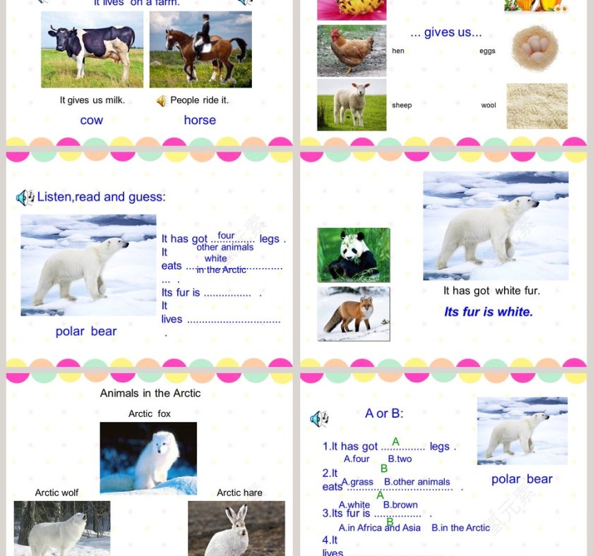 Unit 5  Animals in danger-英语 六年级 上册三年级起点教学ppt课件第3张