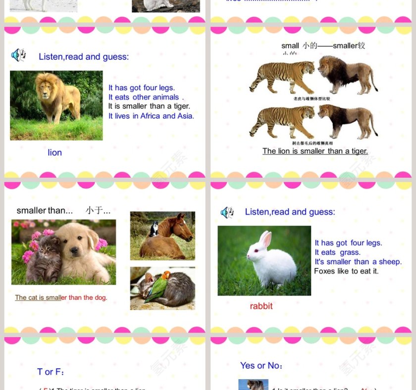 Unit 5  Animals in danger-英语 六年级 上册三年级起点教学ppt课件第4张