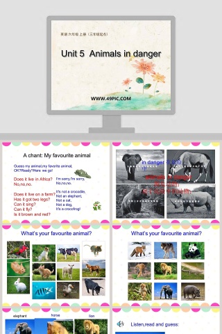 Unit 5  Animals in danger-英语 六年级 上册三年级起点教学ppt课件