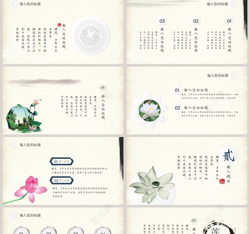 清新莲花教育培训PPT第2张