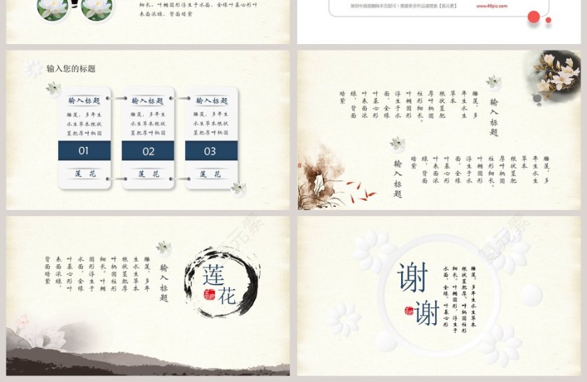 清新莲花教育培训PPT第4张