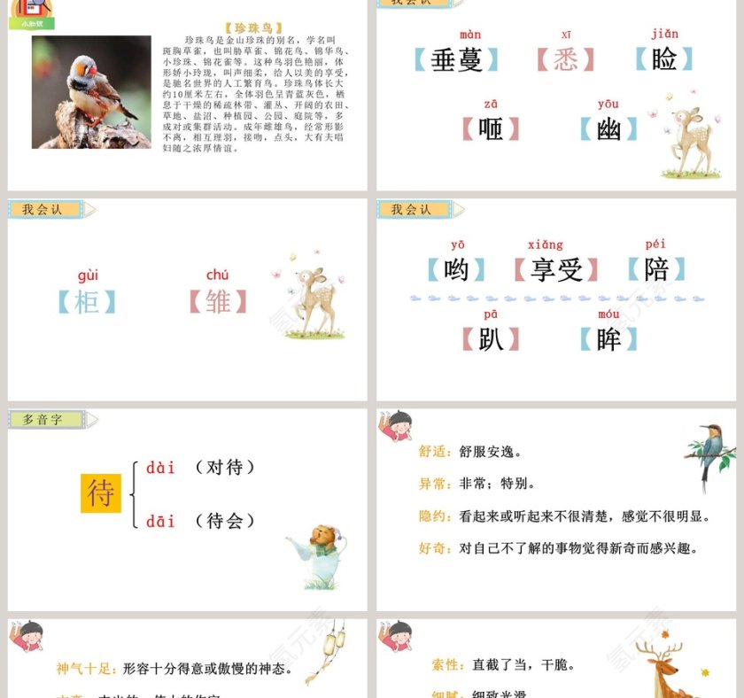 珍珠鸟语文教学PPT课件第2张
