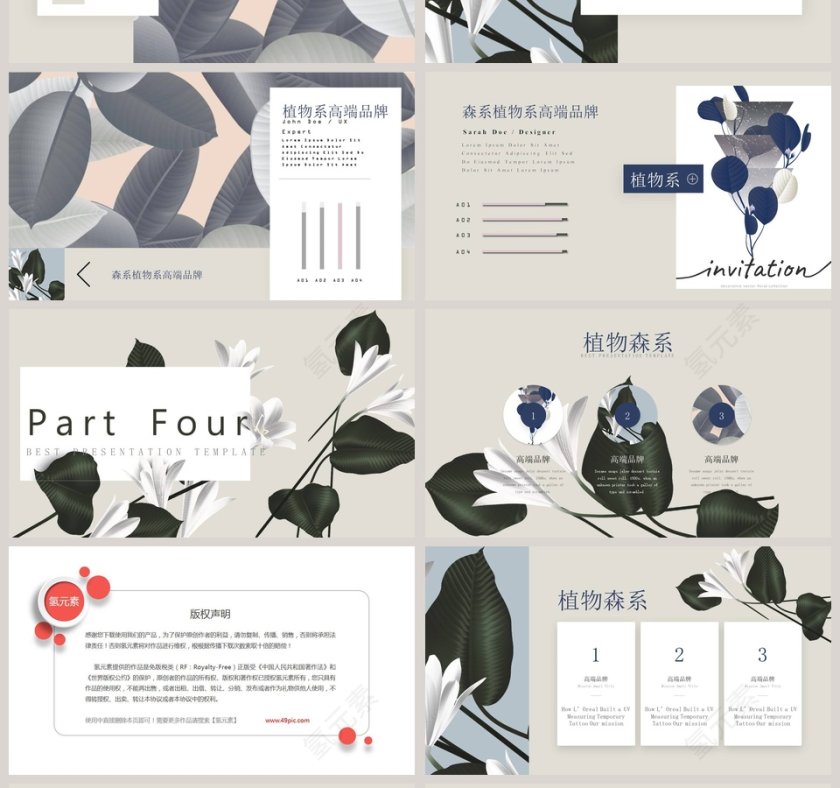 植物系高端品牌工作总结PPT第4张