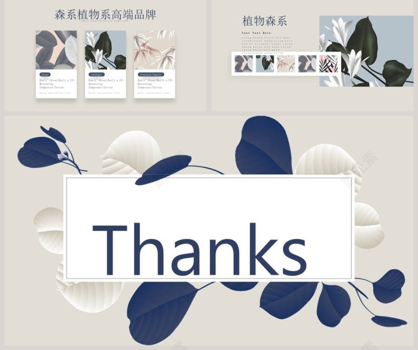 植物系高端品牌工作总结PPT第5张