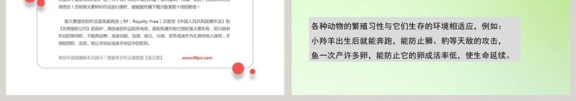 动物的繁殖教学ppt课件第3张