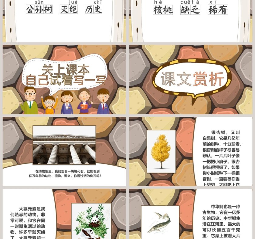 课文解析活化石语文课件PPT第3张