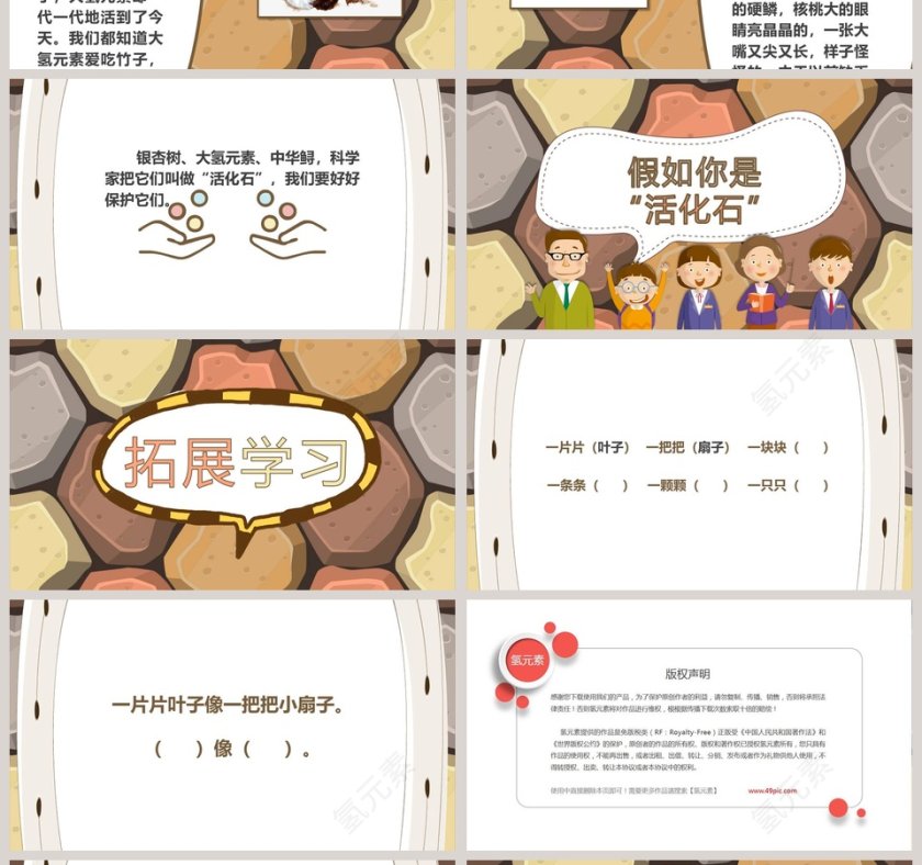 课文解析活化石语文课件PPT第4张