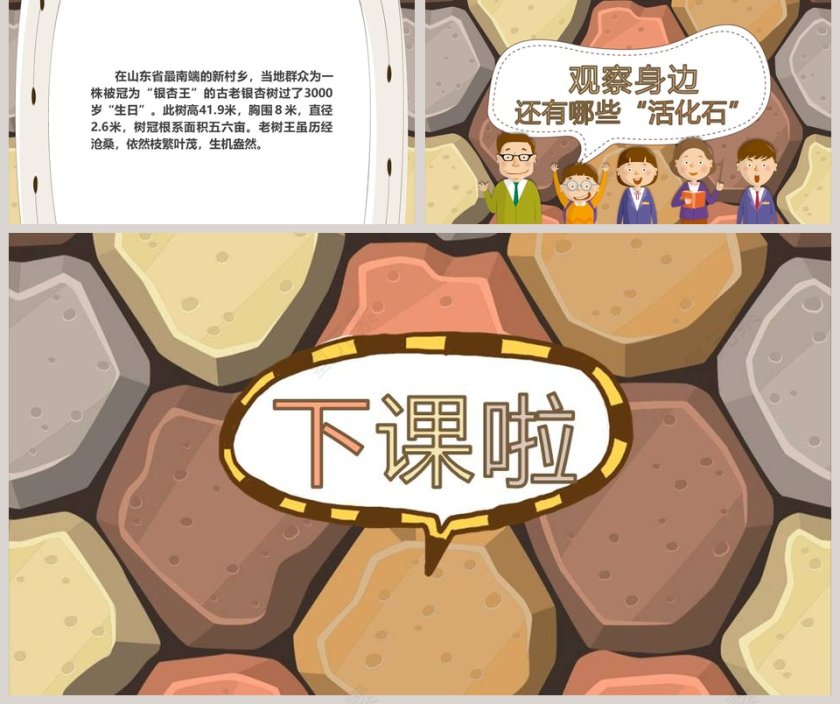 课文解析活化石语文课件PPT第5张