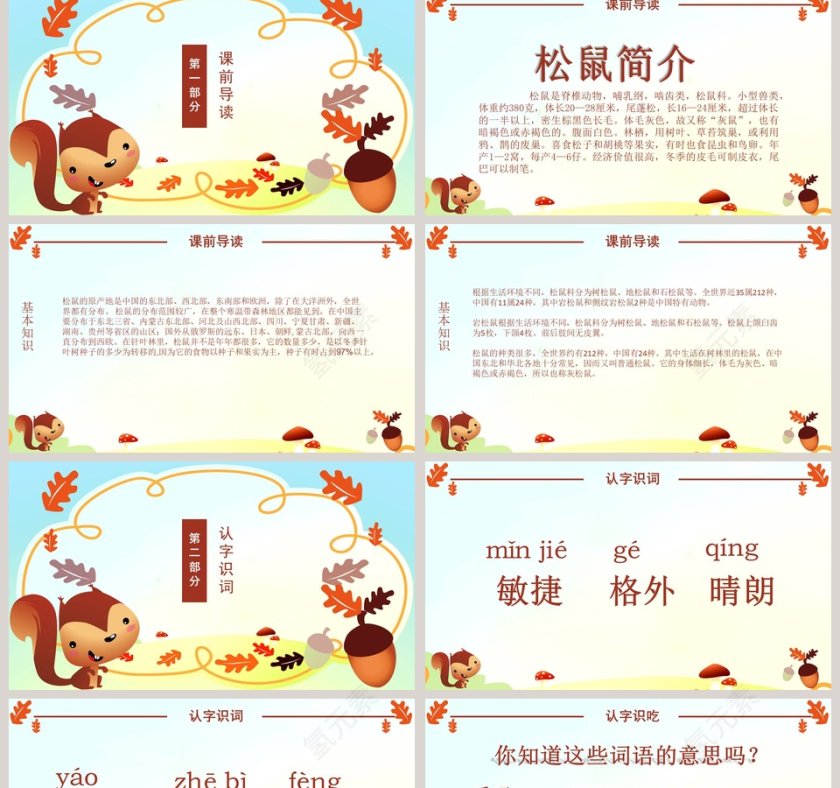 五年级语文课件PPT松鼠第2张