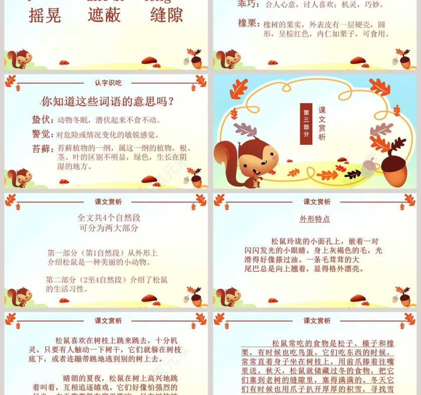 五年级语文课件PPT松鼠第3张